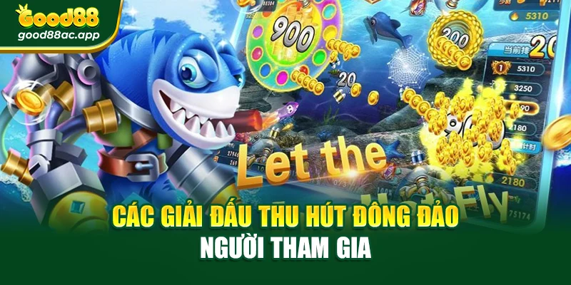 Các giải đấu thu hút đông đảo người tham gia