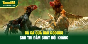 Đá Gà Cựa Dao Good88 – Giải Trí Đẫm Chất Đối Kháng