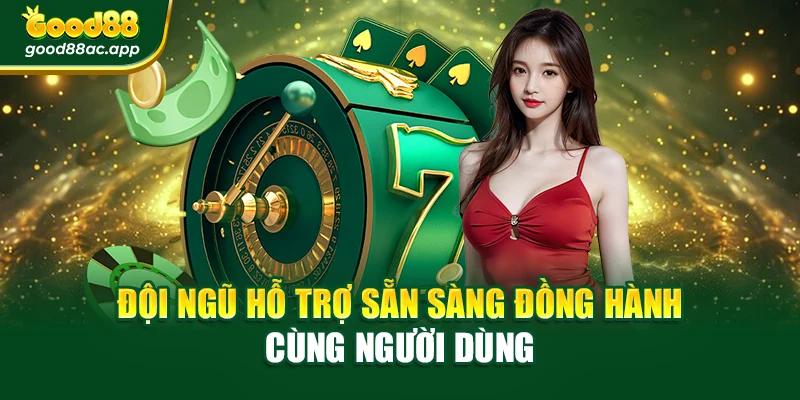 Đội ngũ hỗ trợ sẵn sàng đồng hành cùng người dùng
