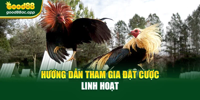 Hướng dẫn tham gia đặt cược linh hoạt