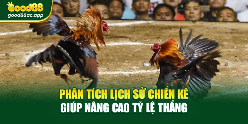 Phân tích lịch sử chiến kê giúp nâng cao tỷ lệ thắng