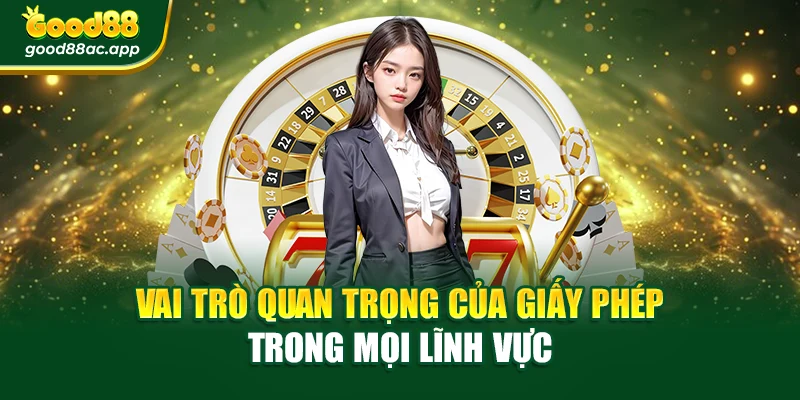 Vai trò quan trọng của giấy phép trong mọi lĩnh vực