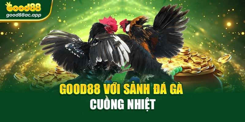 Good88 với sảnh đá gà cuồng nhiệt